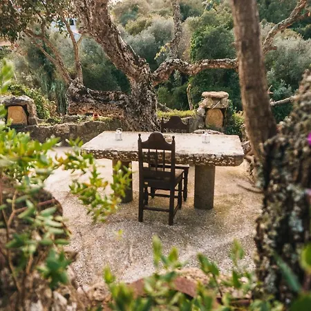 Gospodarstwo agroturystyczne Econature Dagaio Handmade Paradise Ericeira