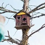 Econature Dagaio Handmade Paradise Farm stay *