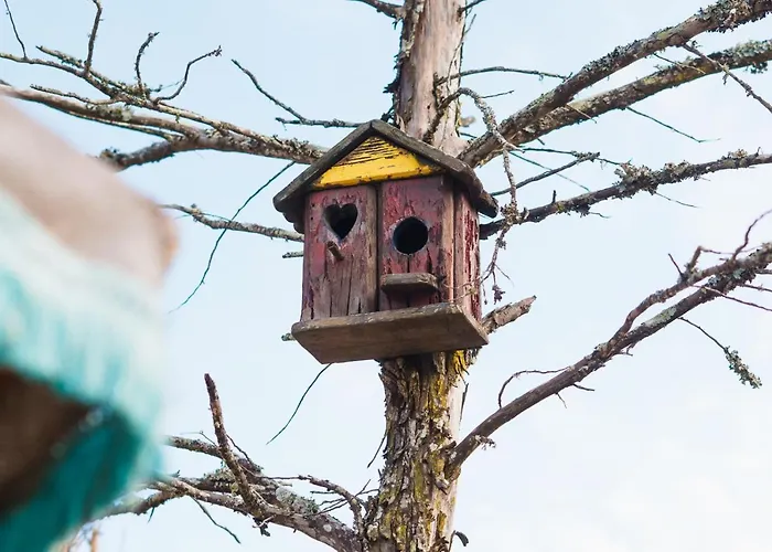 Econature Dagaio Handmade Paradise Farma *